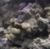 [DSC07395.JPG]