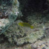 [DSC07406.JPG]