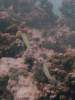 [dsc07498.jpg]