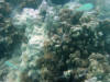[dsc07499.jpg]