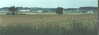 Pennsylvania farms of this region.