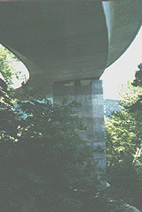 The new Linn Cove Viaduct from the bottom.