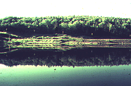 A mirror lake.