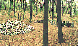 The pile of stones and the cabin site.