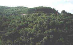 Climbing the Cherohala Parkway