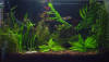 work-aquarium-3-15-2002-newlayout.jpg