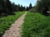 DSCF0382.JPG