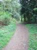 DSCF0384.JPG