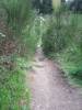 DSCF0386.JPG