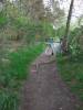 DSCF0389.JPG