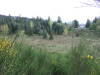 DSCF0390.JPG