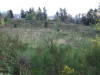 DSCF0391.JPG