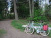 DSCF0392.JPG