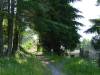 I leave the trail here to the right.  You can also go straight for a fun but tricky climb.
