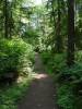 Typical Watershed Park trail.
