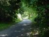 The trail that runs next to 520.  The trees make the highway seem much like it is much farther away.