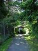 A covered bridge on the 520 trail.