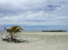 [DSC07354.JPG]