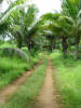 [DSC00994.JPG]