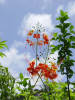 [DSC01019.JPG]