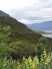 [DSC00561.JPG]
