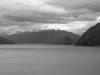 [DSC00567-bw.jpg]