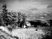 palouse1.jpg