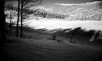 snowshadows.jpg