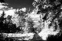 trail1.jpg